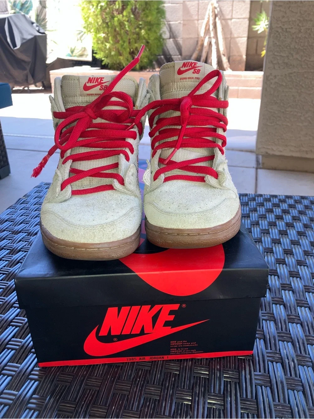 Nike SB Dunk High Pro